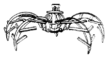 polipo.gif (4410 byte)